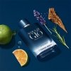 Giorgio Armani Acqua di Gio Profondo 2024 Eau de Parfum